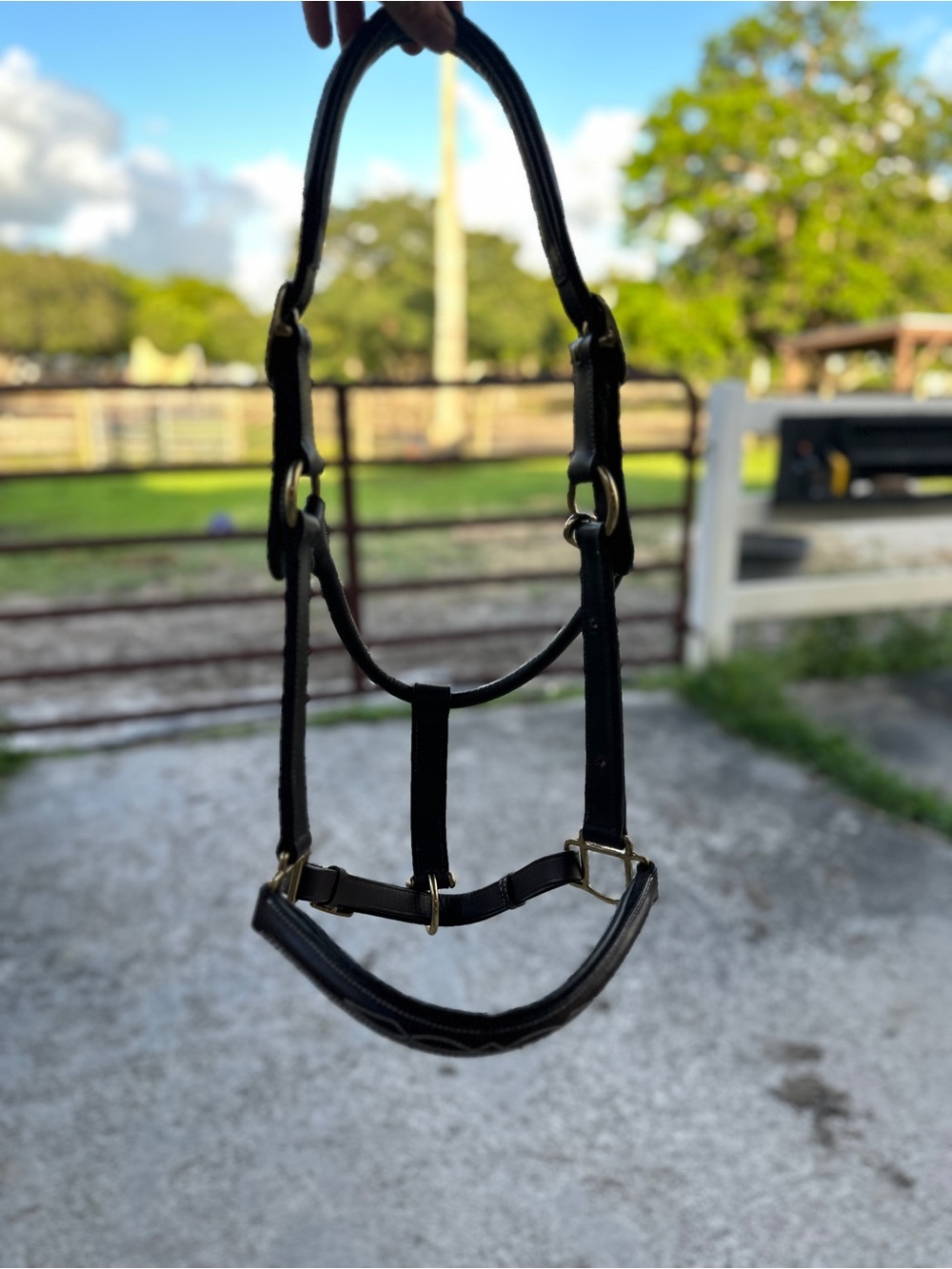 Brown Leather Horze horse Halter with White Stitching - Picture 6 of 8